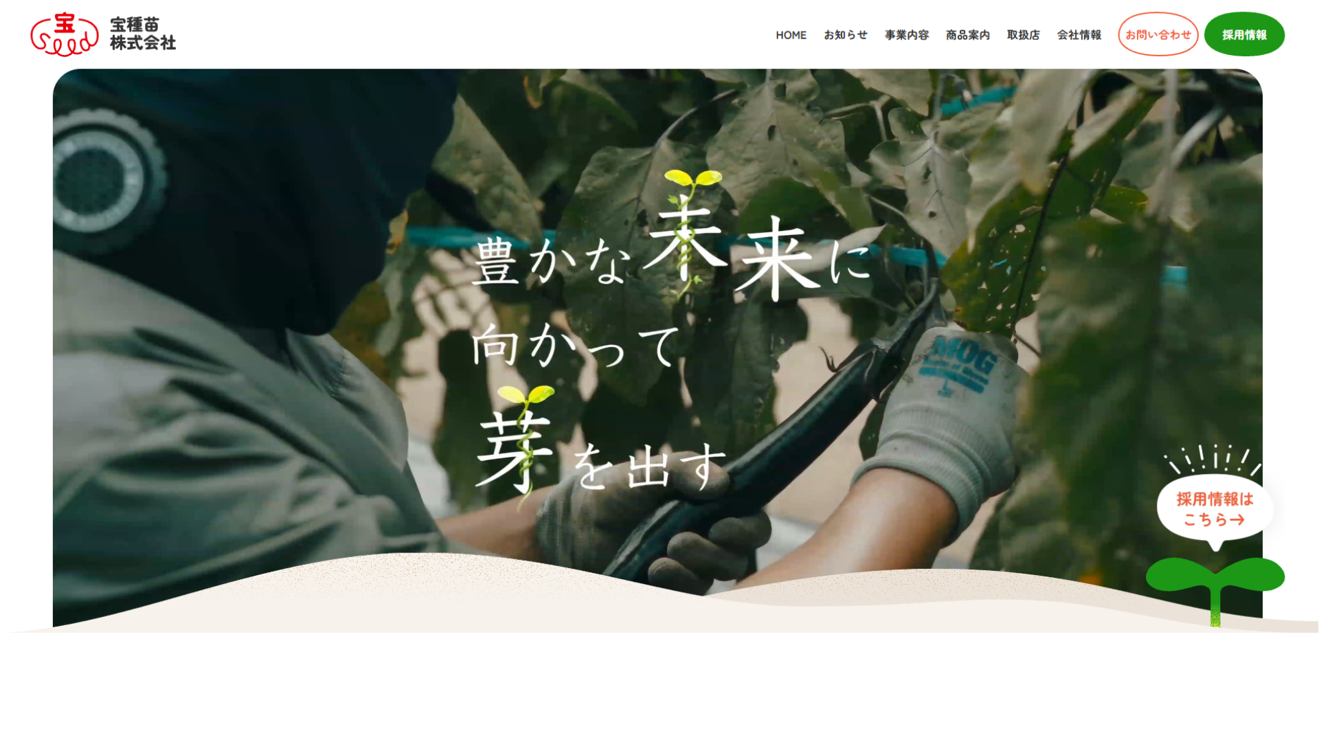 宝種苗株式会社様
